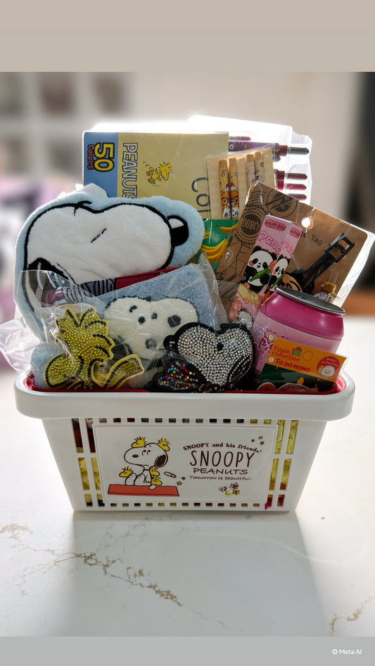 Snoopy Mystery Bundle